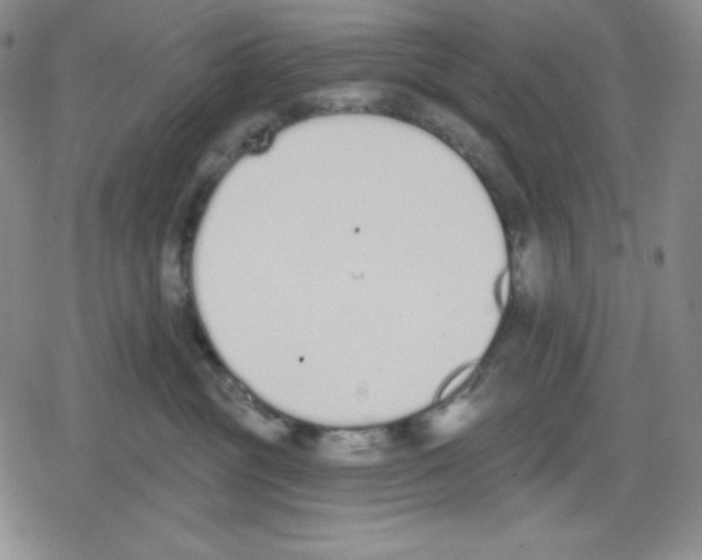 X0000078830381200612111526