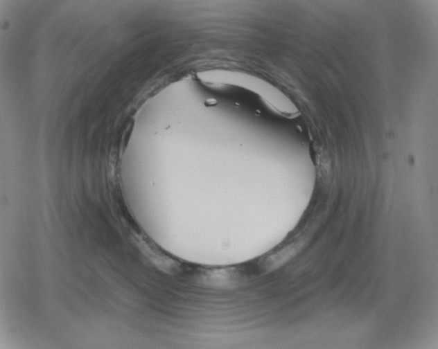 X0000078830382200612111526