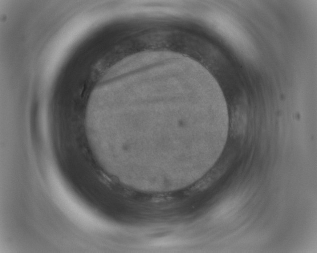 X0000078830383200612111526