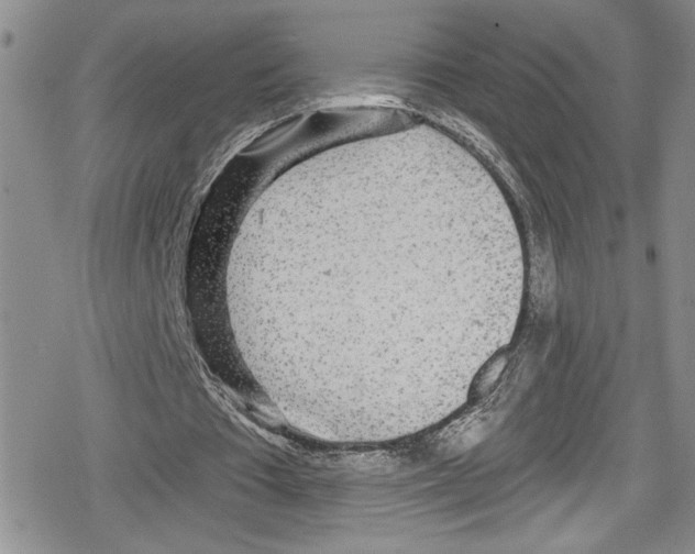 X0000078830385200612111525