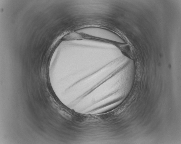 X0000078830386200612111525