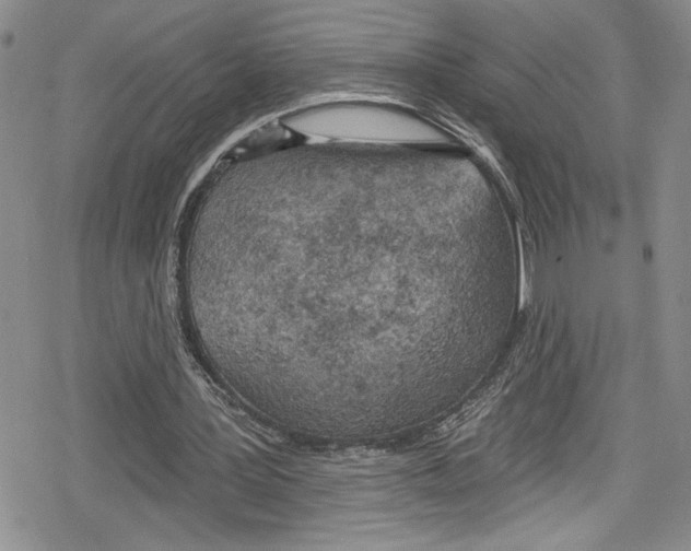 X0000078830387200612111525