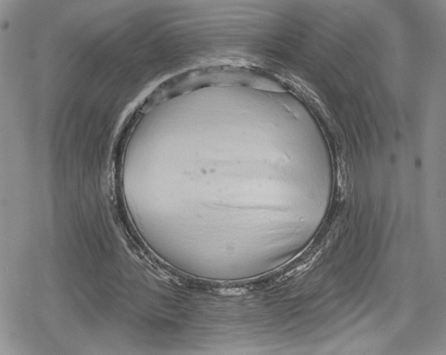 X0000078830388200612111525