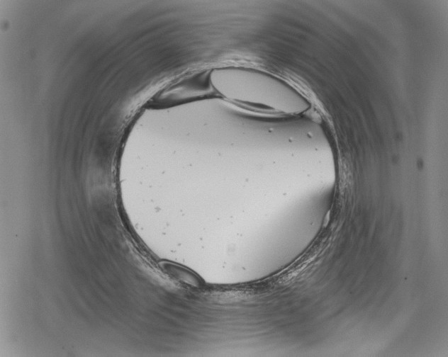 X0000078830389200612111525