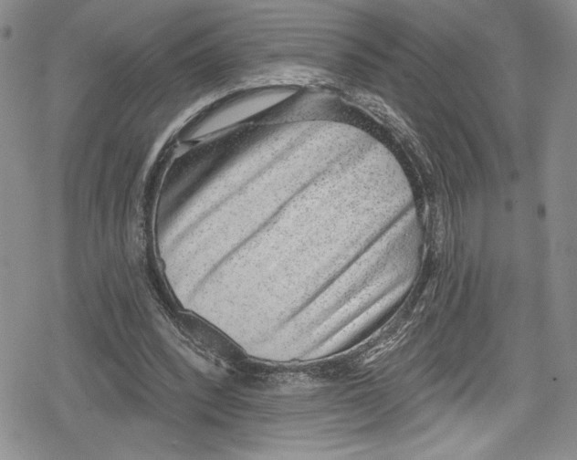 X0000078830392200612111525