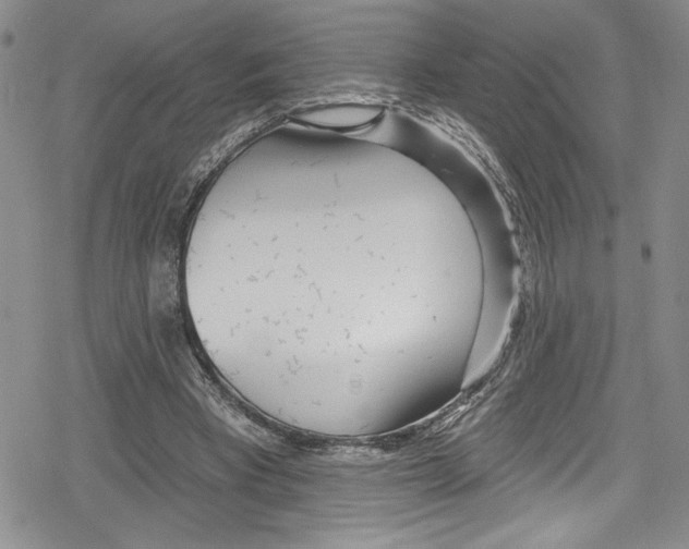 X0000078830393200612111525