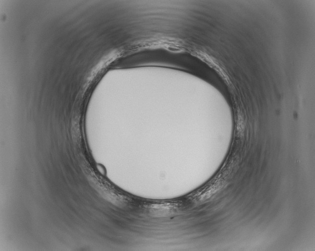 X0000078830394200612111525