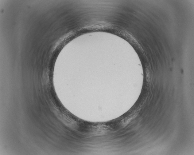 X0000078830396200612111525