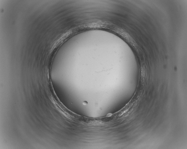 X0000078830397200612111525