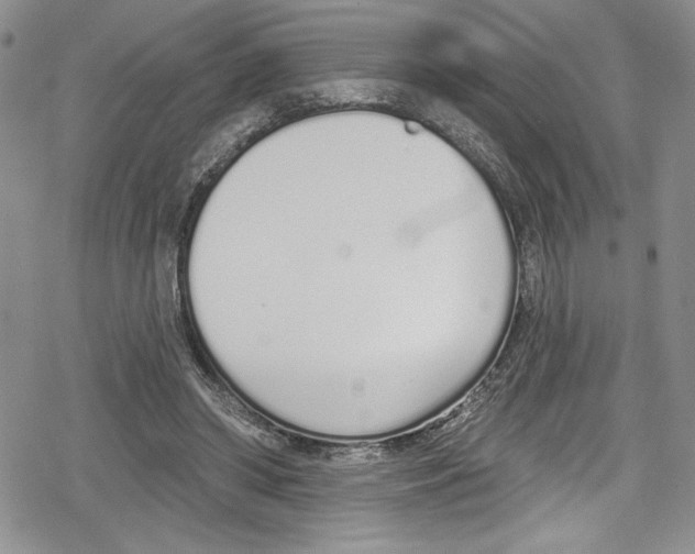 X0000078830398200612111525