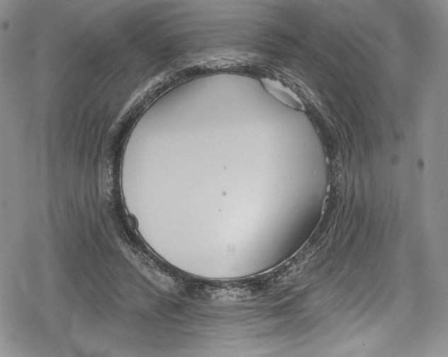 X0000078830400200612111525