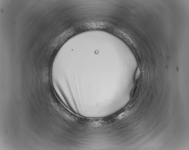 X0000078830402200612111525