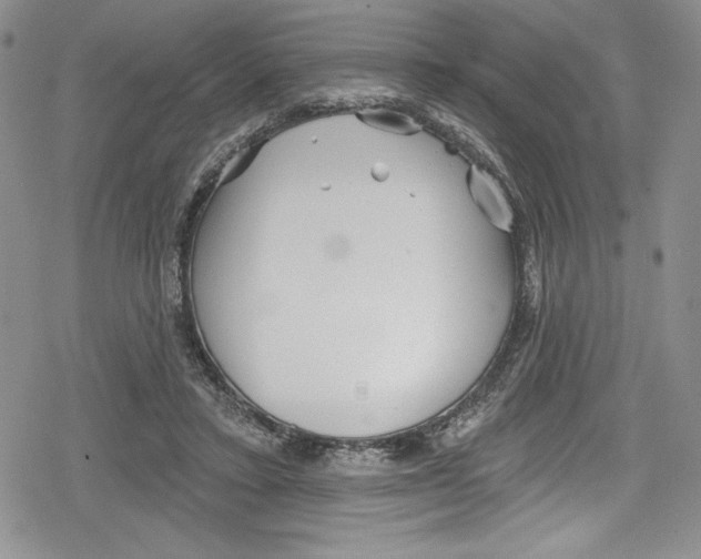 X0000078830403200612111525