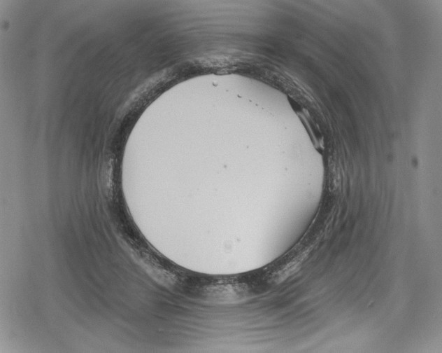 X0000078830404200612111525