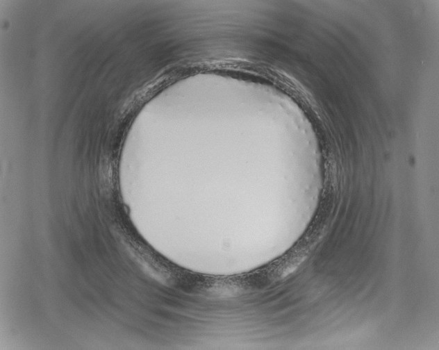 X0000078830405200612111525