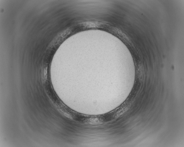 X0000078830406200612111525