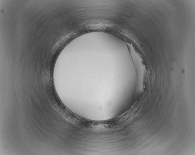 X0000078830407200612111524