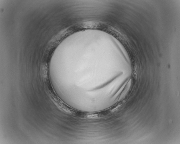 X0000078830413200612111524