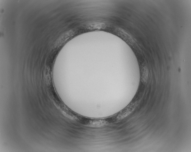 X0000078830414200612111524