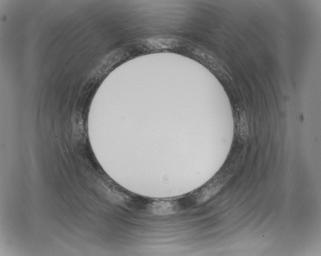 X0000078830418200612111524