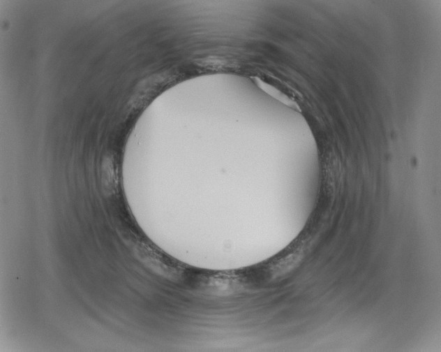 X0000078830420200612111524