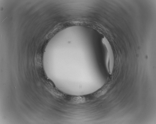 X0000078830421200612111524