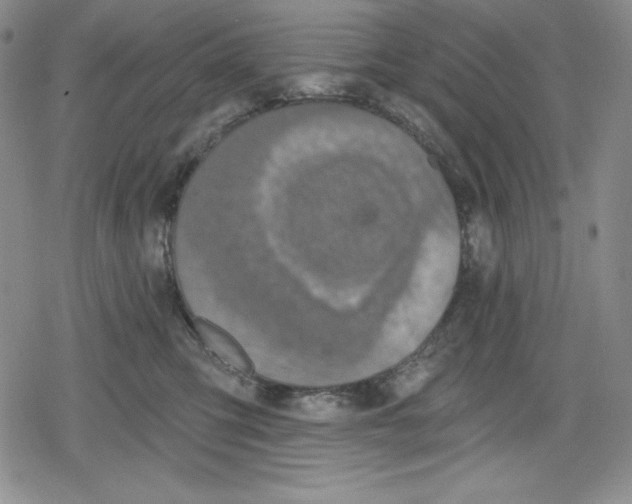 X0000078830423200612111524