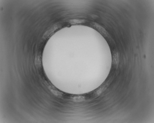 X0000078830426200612111524