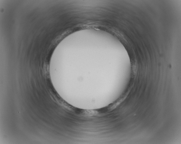 X0000078830429200612111524