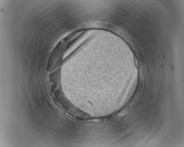 X0000078830434200612111523