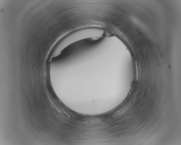 X0000078830435200612111523