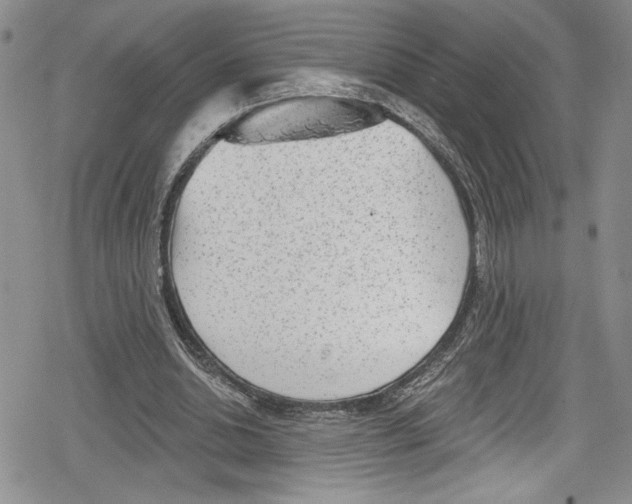 X0000078830438200612111523