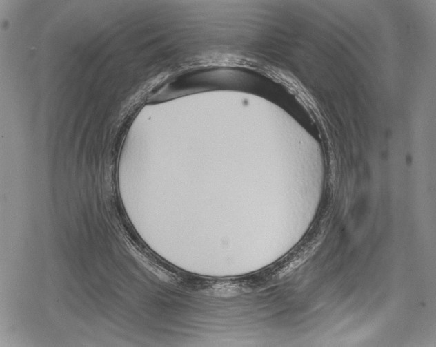 X0000078830441200612111523