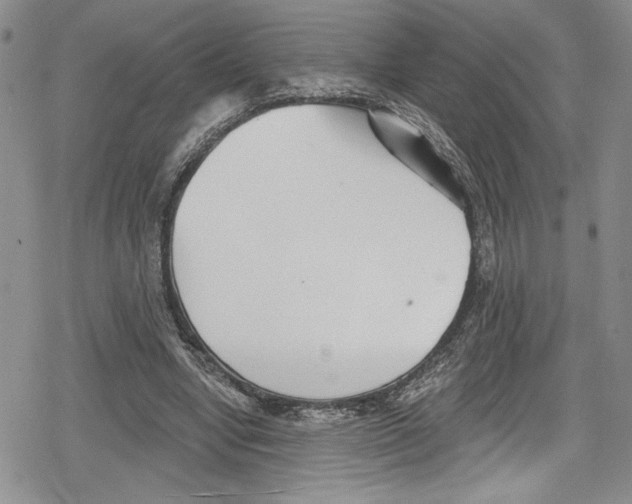 X0000078830442200612111523