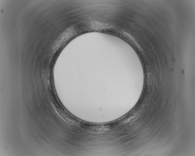 X0000078830443200612111523