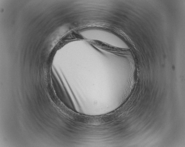 X0000078830444200612111523