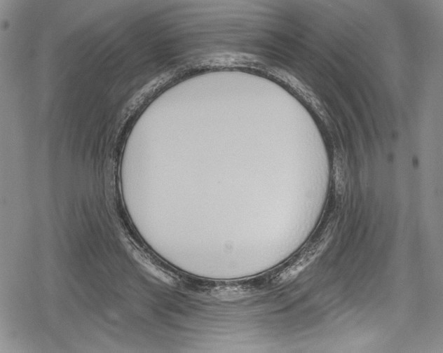 X0000078830445200612111523