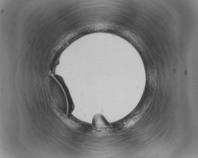 X0000078830447200612111524