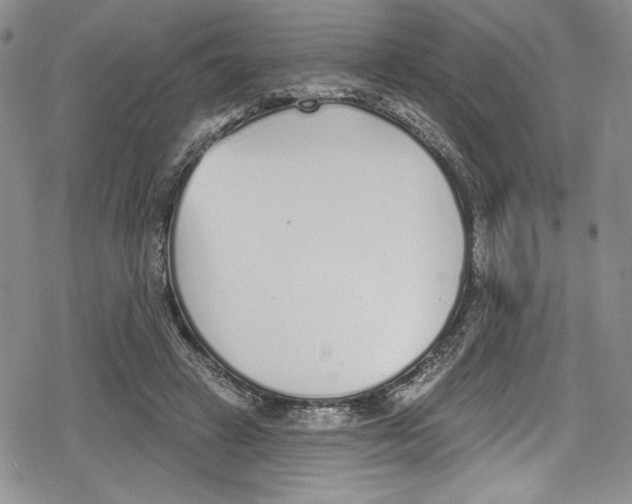 X0000078830449200612111524