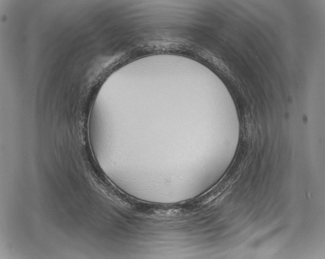 X0000078830450200612111524