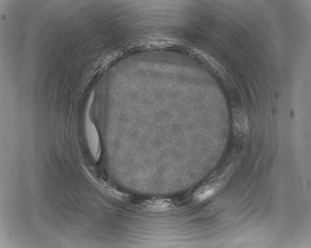 X0000078830451200612111524