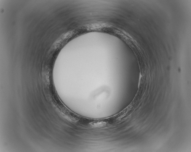 X0000078830452200612111524