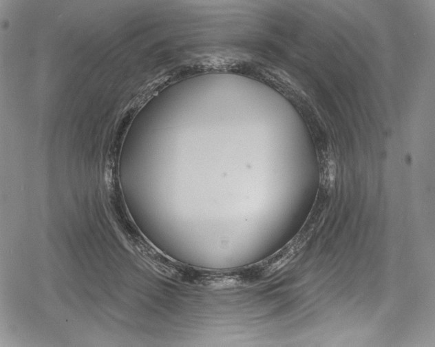 X0000078830456200612111524