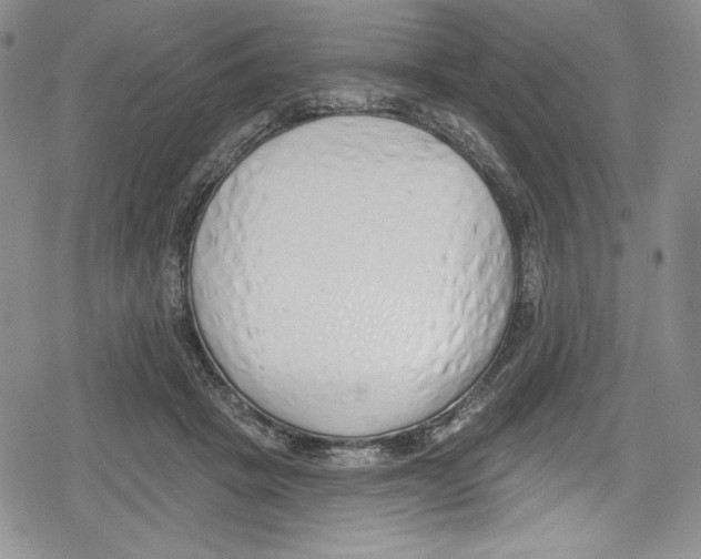 X0000078830457200612111524