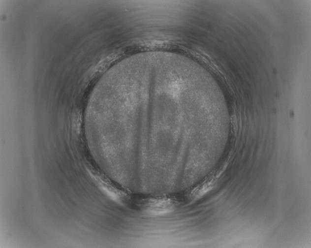 X0000078830458200612111524