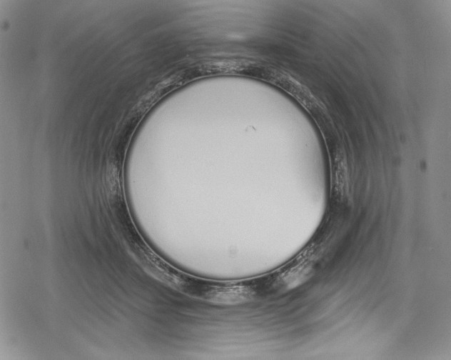 X0000078830459200612111524