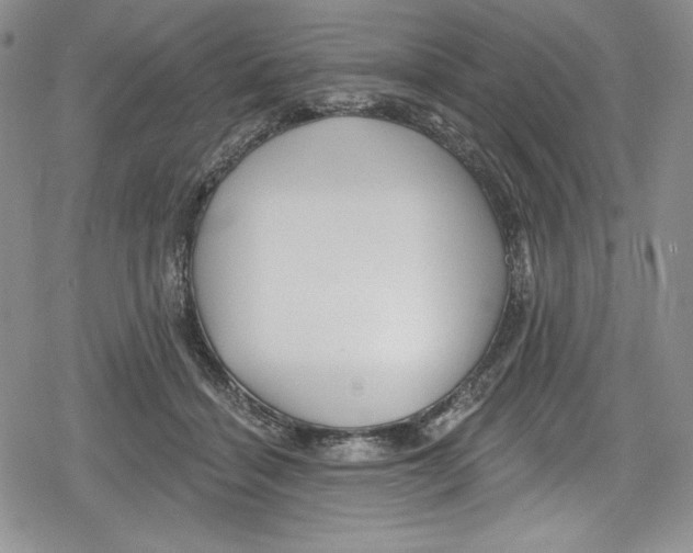 X0000078830460200612111524