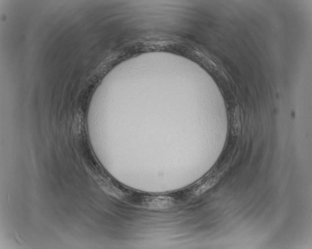 X0000078830463200612111524