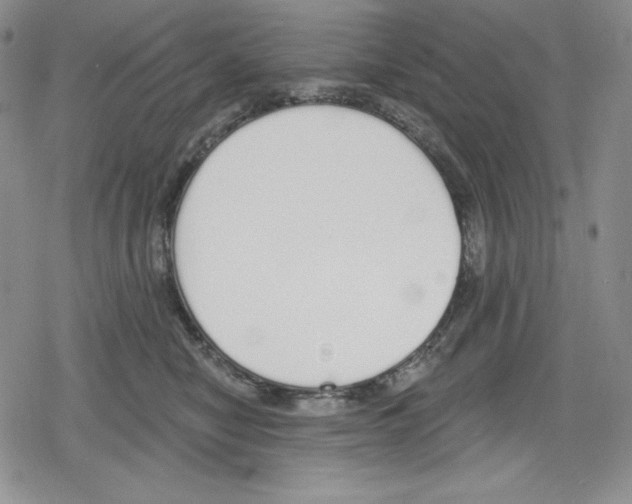 X0000078830470200612111524