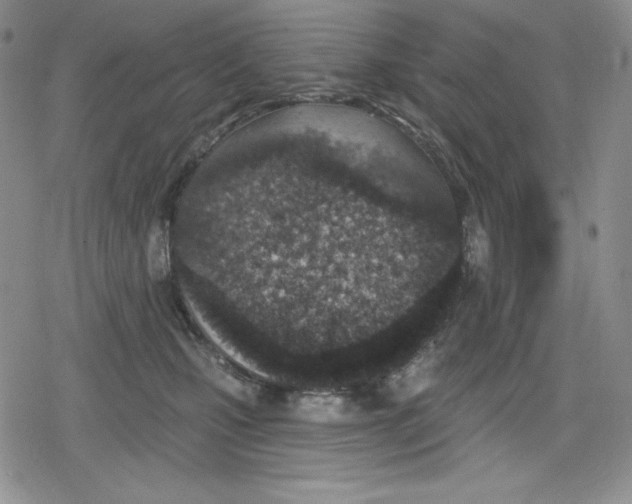 X0000078830471200612111524